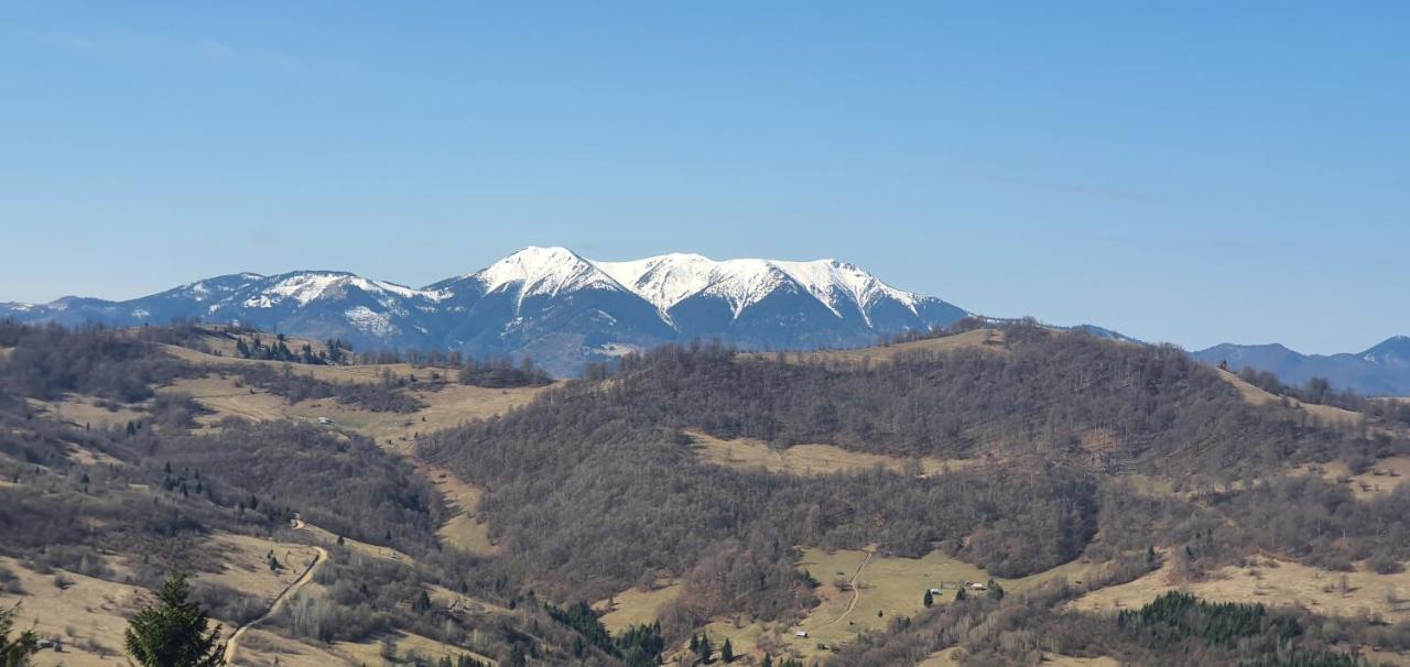 Tulean Cabin Sacel  Экстерьер фото